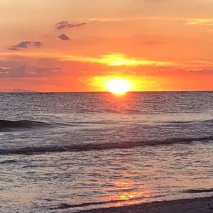 Meet your Posher, Carter